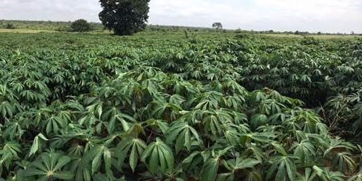 820c6ea2-580b-94a7-cb83-973534107d9c