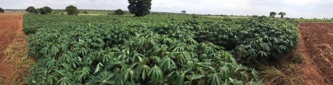 820c6ea2-580b-94a7-cb83-973534107d9c