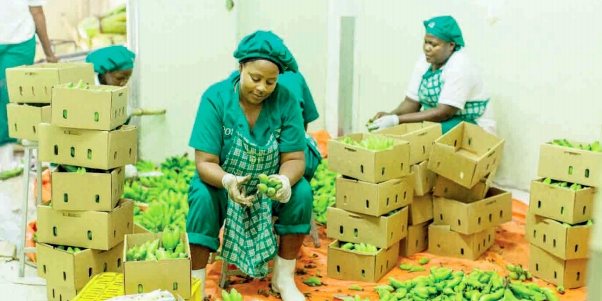 Screenshot from 2021-08-31 13-59-36