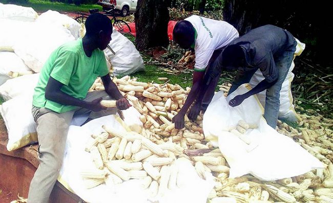 bcc28d1c-e702-4961-95b0-9f4b27ad0511