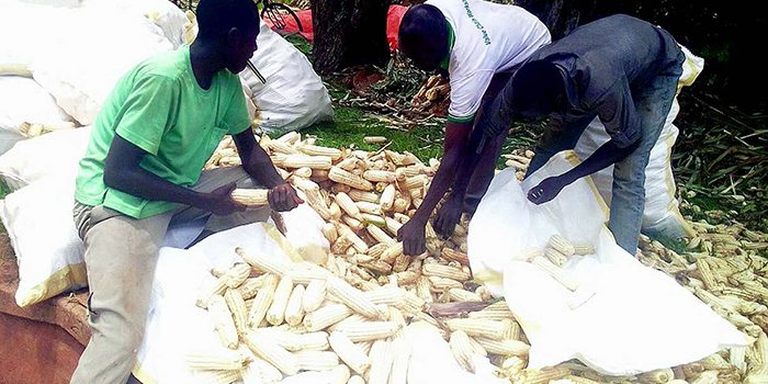 bcc28d1c-e702-4961-95b0-9f4b27ad0511