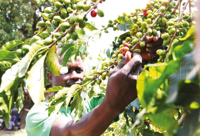 35d833ef-63ff-49a1-a826-aeb37570aa9b