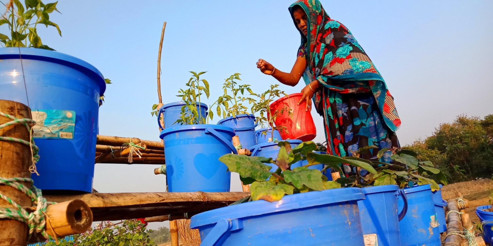Photo by UNDP Bangladesh