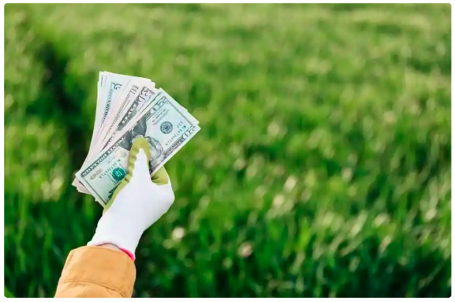 Screenshot from 2022-07-24 14-06-10