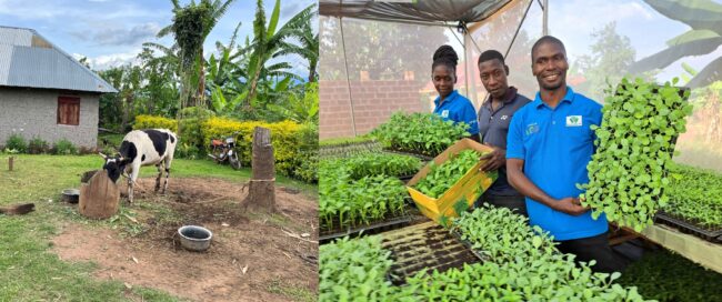 DHL Press Release Image