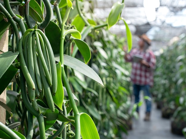 prioritise agric